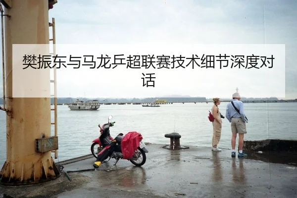 樊振东与马龙乒超联赛技术细节深度对话